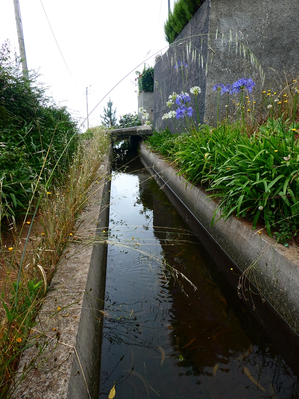 01.07.2018 Rundtour Levada dos Tornos - Levada da Serra do Faial zwischen Camacha und Choupana — Weiter zum Pinheirinho-Tunnel — Foto 18