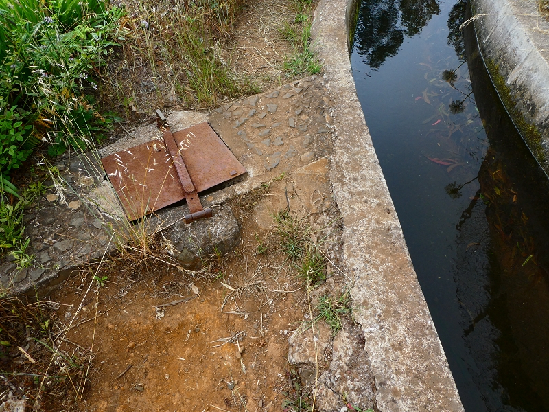 01.07.2018 Rundtour Levada dos Tornos - Levada da Serra do Faial zwischen Camacha und Choupana — Weiter zum Pinheirinho-Tunnel — Foto 21
