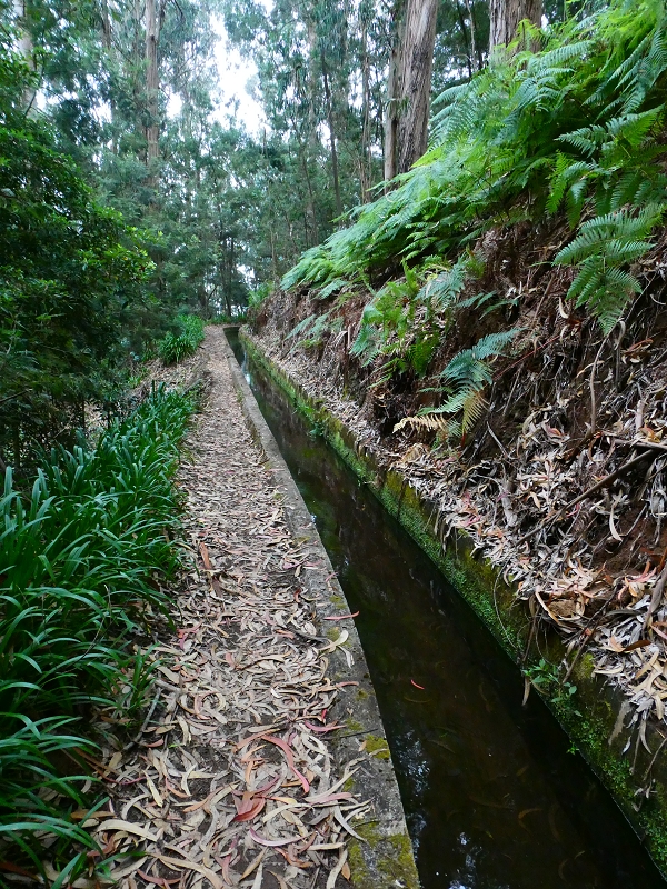 Levada dos Tornos sul — Troço 3 — foto 11
