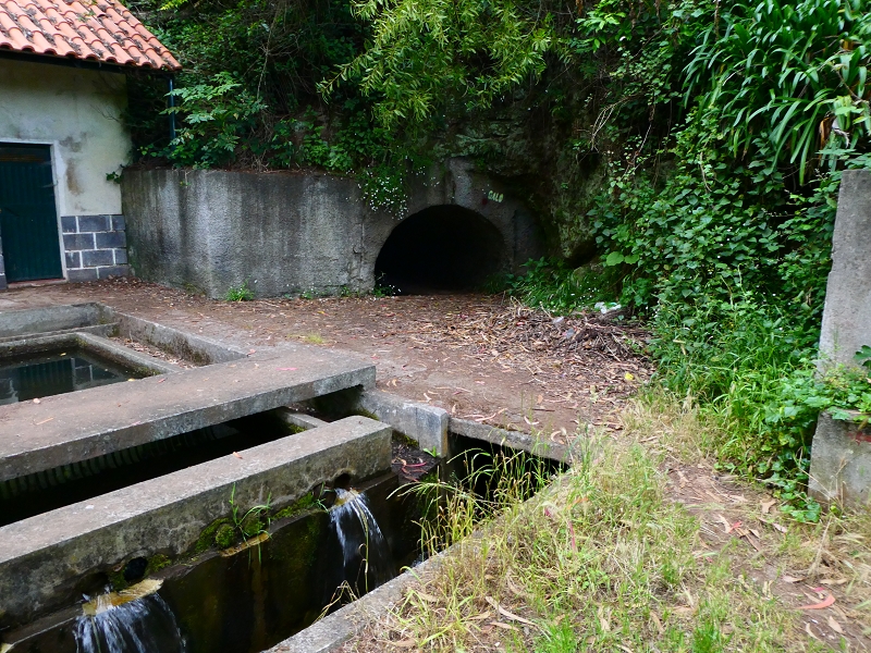 01.07.2018 Rundtour Levada dos Tornos - Levada da Serra do Faial zwischen Camacha und Choupana — Abstieg zum Levadateiler unterhalb Nogueira — Foto 3
