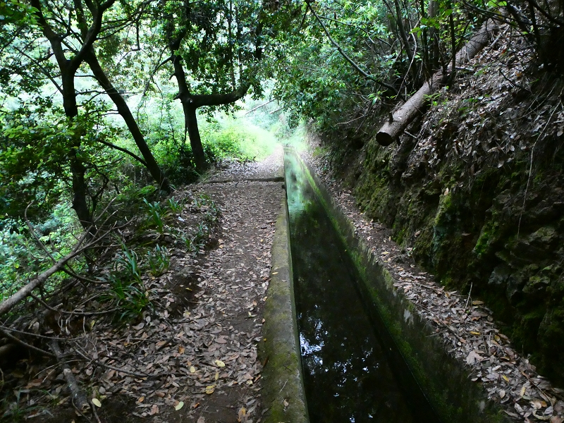 01.07.2018 Rundtour Levada dos Tornos - Levada da Serra do Faial zwischen Camacha und Choupana — Weiter zum Pinheirinho-Tunnel — Foto 27