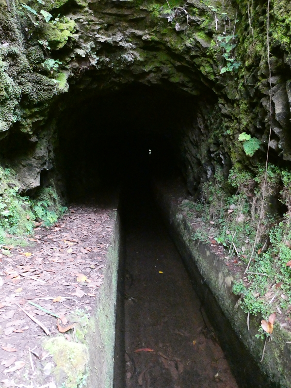 01.07.2018 Rundtour Levada dos Tornos - Levada da Serra do Faial zwischen Camacha und Choupana — Weiter zum Pinheirinho-Tunnel — Foto 29