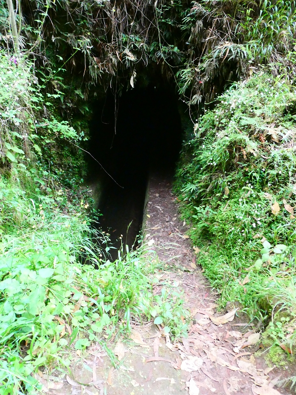 Levada dos Tornos sul — Troço 3 — foto 10