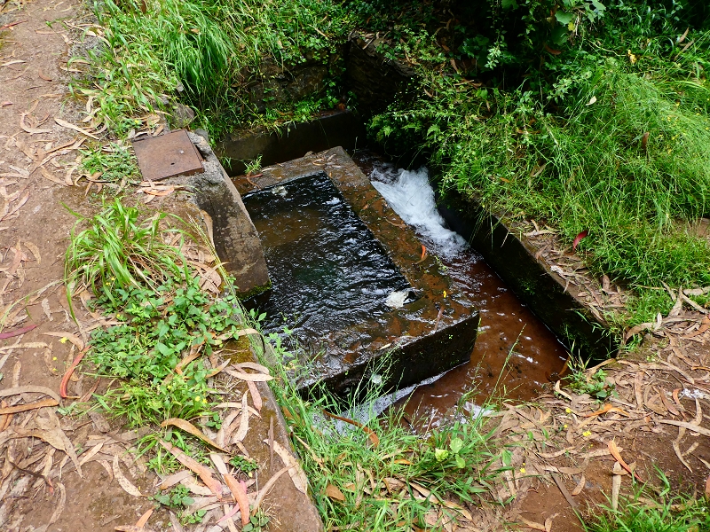 01.07.2018 Rundtour Levada dos Tornos - Levada da Serra do Faial zwischen Camacha und Choupana — Weiter nach Palheiro Ferreiro — Foto 1