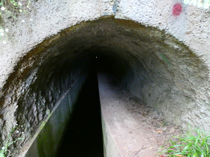 01.07.2018 Rundtour Levada dos Tornos - Levada da Serra do Faial zwischen Camacha und Choupana — Abstieg zum Levadateiler unterhalb Nogueira — Foto 4