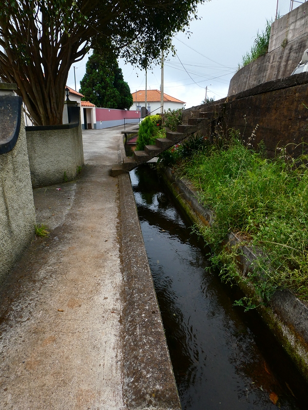 01.07.2018 Rundtour Levada dos Tornos - Levada da Serra do Faial zwischen Camacha und Choupana — Weiter nach Palheiro Ferreiro — Foto 7