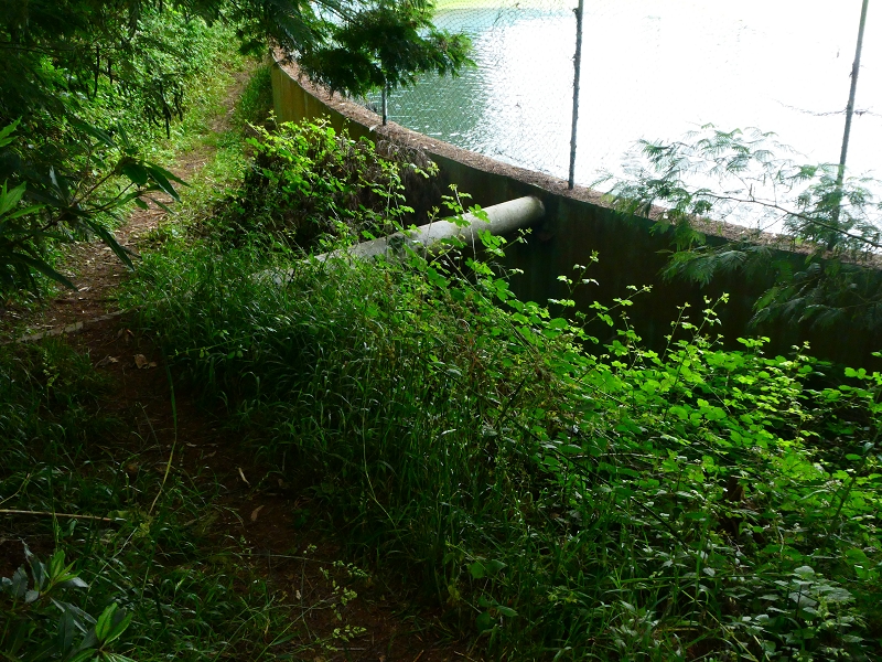 01.07.2018 Rundtour Levada dos Tornos - Levada da Serra do Faial zwischen Camacha und Choupana — Wasserbecken und Kreuzung mit der Levada do Blandy — Foto 10