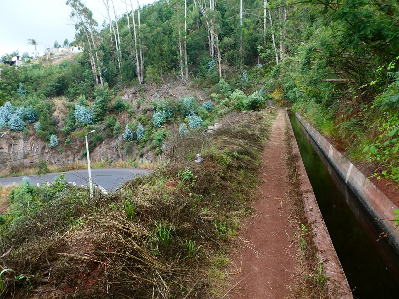 01.07.2018 Rundtour Levada dos Tornos - Levada da Serra do Faial zwischen Camacha und Choupana — Richtung Choupana — Foto 2