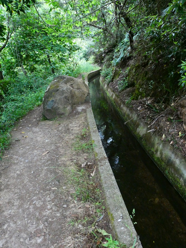 01.07.2018 Rundtour Levada dos Tornos - Levada da Serra do Faial zwischen Camacha und Choupana — Richtung Choupana — Foto 4