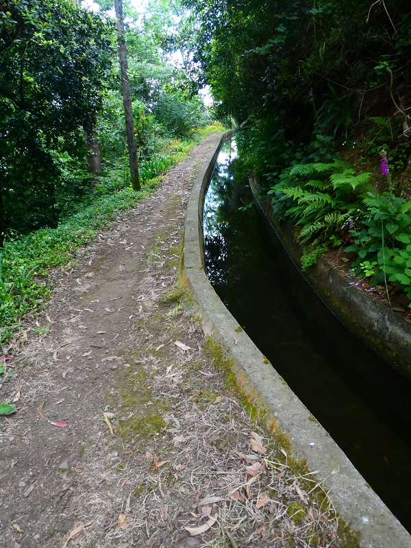 01.07.2018 Rundtour Levada dos Tornos - Levada da Serra do Faial zwischen Camacha und Choupana — Weiter zum Pinheirinho-Tunnel — Foto 1