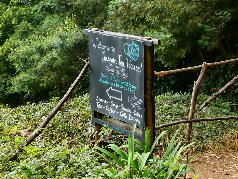 Levada dos Tornos sul — Troço 3 — foto 8