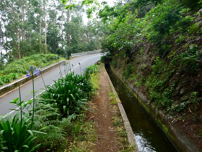 Levada dos Tornos sul — Troço 3 — foto 7