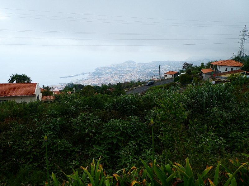 01.07.2018 Rundtour Levada dos Tornos - Levada da Serra do Faial zwischen Camacha und Choupana — Richtung Choupana — Foto 11