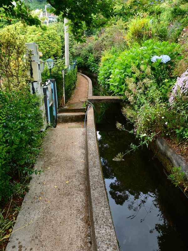 01.07.2018 Rundtour Levada dos Tornos - Levada da Serra do Faial zwischen Camacha und Choupana — Weiter zum Pinheirinho-Tunnel — Foto 2