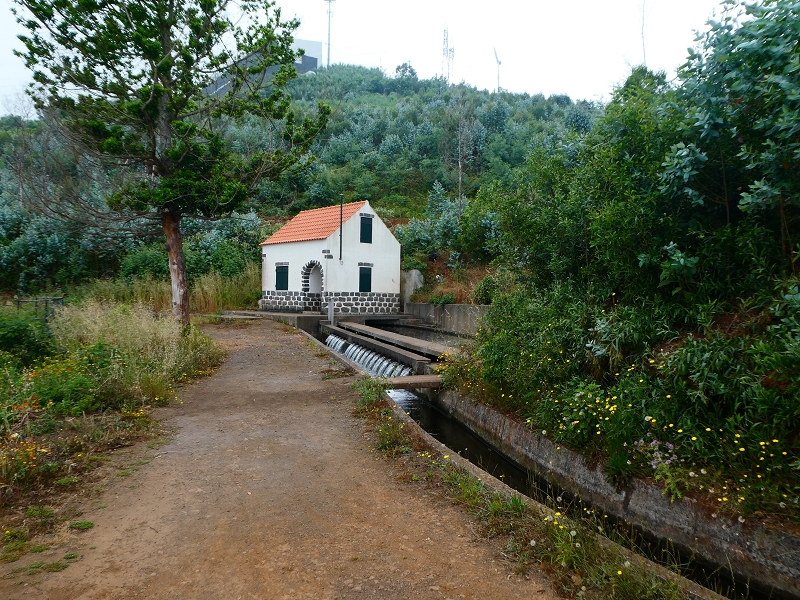 01.07.2018 Rundtour Levada dos Tornos - Levada da Serra do Faial zwischen Camacha und Choupana — Richtung Choupana — Foto 19