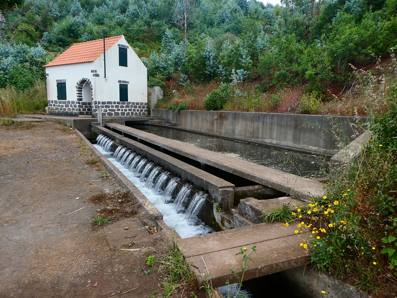 Levada dos Tornos sul — Troço 3 — foto 6