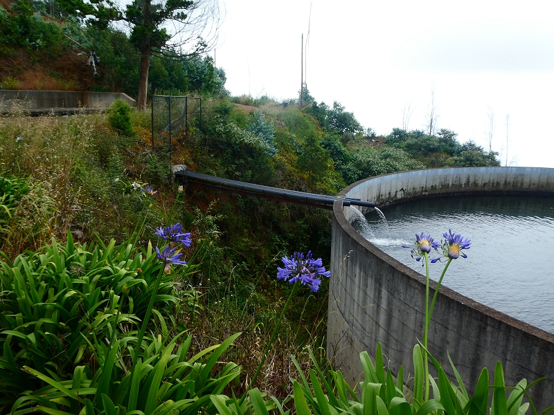 01.07.2018 Rundtour Levada dos Tornos - Levada da Serra do Faial zwischen Camacha und Choupana — Richtung Choupana — Foto 24