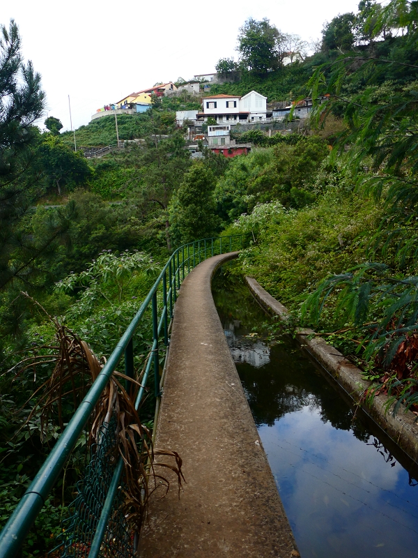 Levada dos Tornos sul — Troço 3 — foto 15