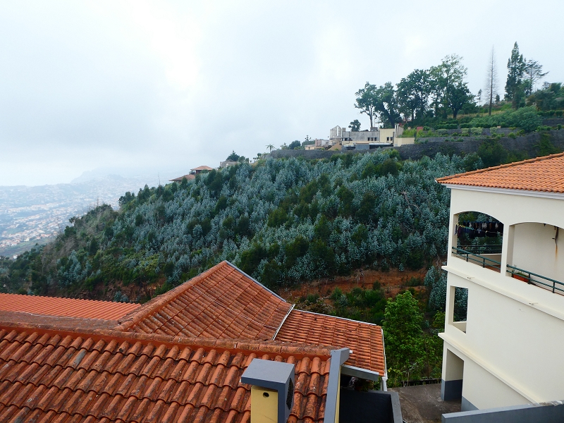 01.07.2018 Rundtour Levada dos Tornos - Levada da Serra do Faial zwischen Camacha und Choupana — Auf dem Caminho do Meio zur Levada da Serra do Faial — Foto 1