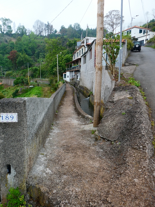 01.07.2018 Rundtour Levada dos Tornos - Levada da Serra do Faial zwischen Camacha und Choupana — Auf dem Caminho do Meio zur Levada da Serra do Faial — Foto 2