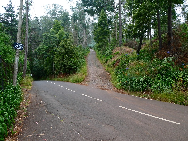 01.07.2018 Rundtour Levada dos Tornos - Levada da Serra do Faial zwischen Camacha und Choupana — Auf dem Caminho do Meio zur Levada da Serra do Faial — Foto 8