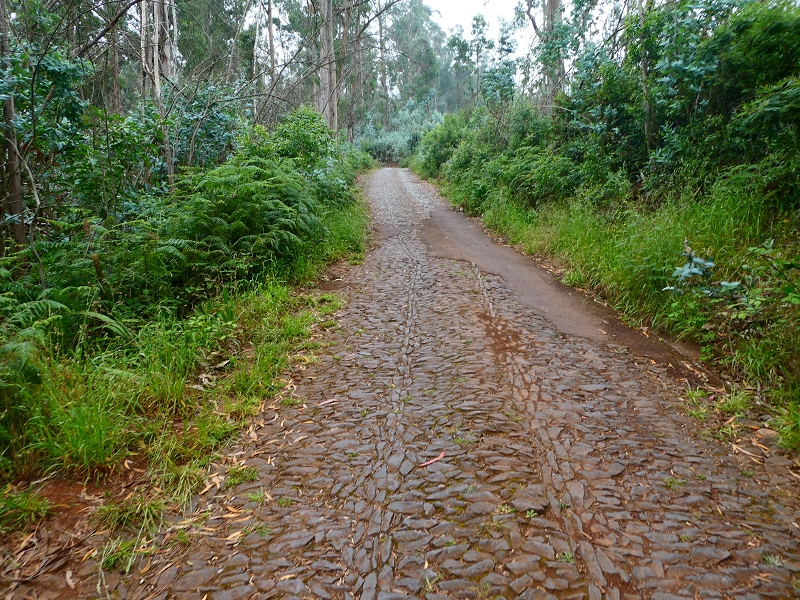 Levada da Serra do Faial von Lamaceiros/Lombo da Raiz zum Pico do Infante — Abschnitt 4 — Foto 3