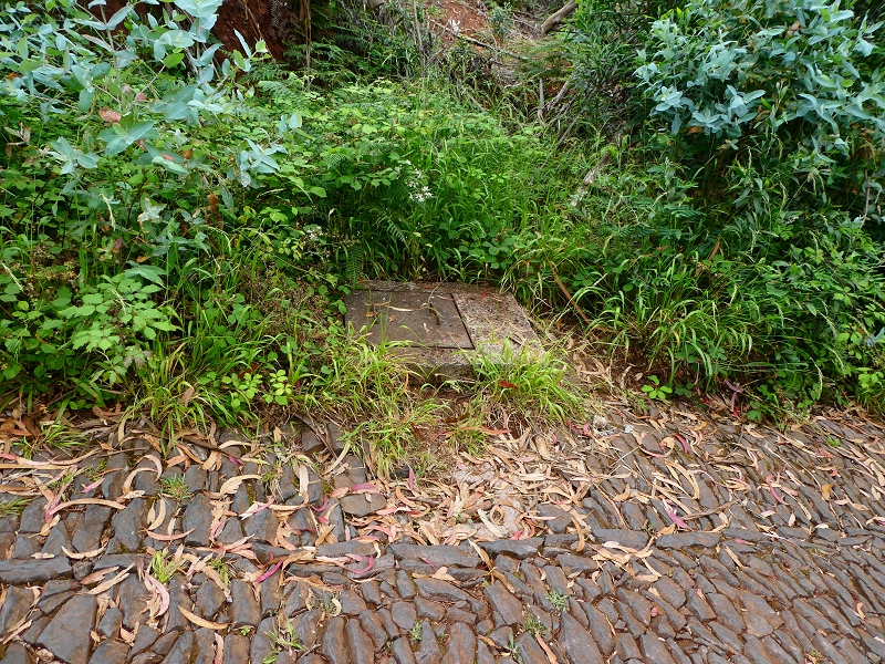 Levada da Serra do Faial von Lamaceiros/Lombo da Raiz zum Pico do Infante — Abschnitt 4 — Foto 4