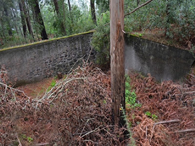 Levada da Serra do Faial von Lamaceiros/Lombo da Raiz zum Pico do Infante — Abschnitt 4 — Foto 5