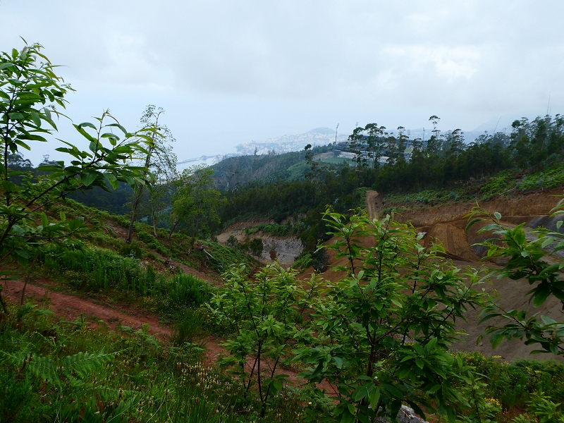 Levada da Serra do Faial von Lamaceiros/Lombo da Raiz zum Pico do Infante — Abschnitt 4 — Foto 2