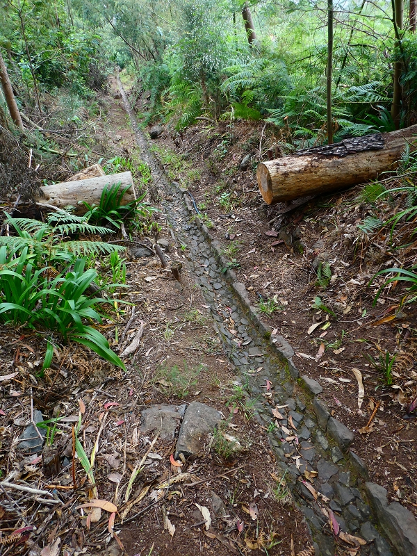Levada da Serra do Faial von Lamaceiros/Lombo da Raiz zum Pico do Infante — Abschnitt 4 — Foto 1