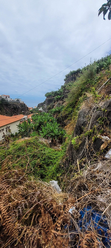 01.07.2022 Levadaentdeckungen oberhalb von Camara de Lobos — Entlang der Levada da Castanheira bis zum Wasserfall — Foto 3