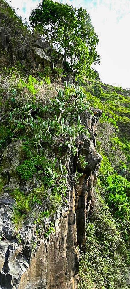 01.07.2022 Levadaentdeckungen oberhalb von Camara de Lobos — Madrebereich mit den Pocos und dem Wasserfall — Foto 8