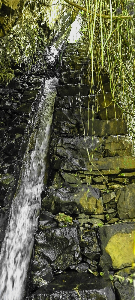 01.07.2022 Levadaentdeckungen oberhalb von Camara de Lobos — Madrebereich mit den Pocos und dem Wasserfall — Foto 9