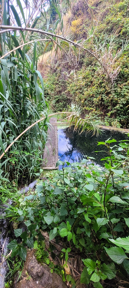 01.07.2022 Levadaentdeckungen oberhalb von Camara de Lobos — Madrebereich mit den Pocos und dem Wasserfall — Foto 11