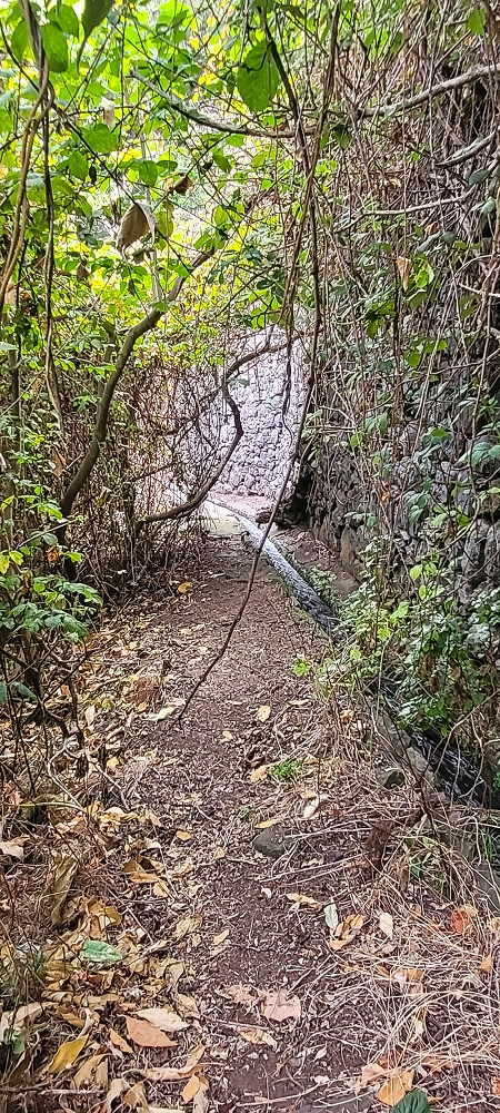 01.07.2022 Levadaentdeckungen oberhalb von Camara de Lobos — Zurück zur Kreuzung mit der Vereda da Ribeira da Caixa — Foto 1