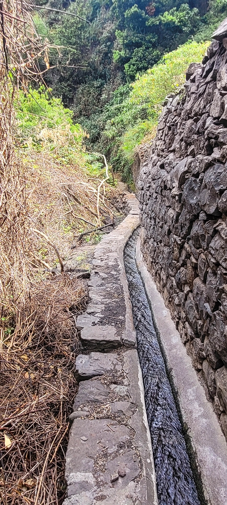 01.07.2022 Levadaentdeckungen oberhalb von Camara de Lobos — Zurück zur Kreuzung mit der Vereda da Ribeira da Caixa — Foto 2