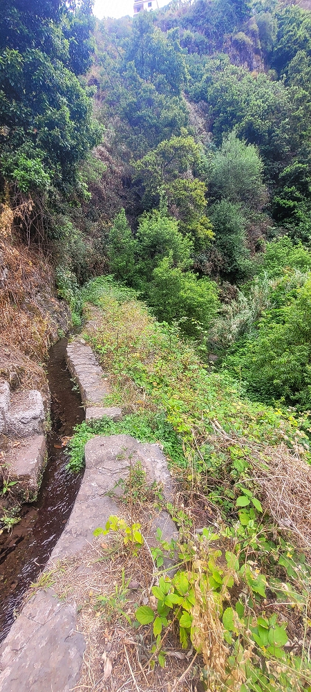 01.07.2022 Levadaentdeckungen oberhalb von Camara de Lobos — Zurück zur Kreuzung mit der Vereda da Ribeira da Caixa — Foto 3