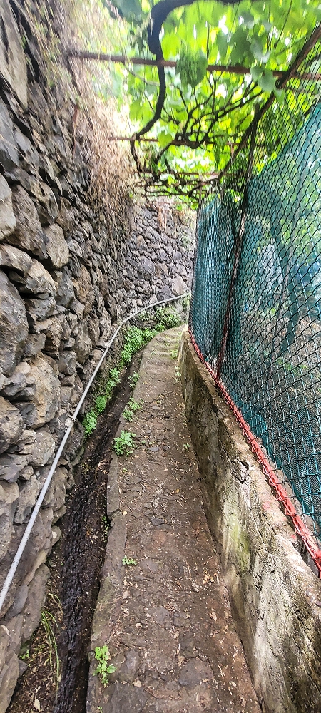 01.07.2022 Levadaentdeckungen oberhalb von Camara de Lobos — Entlang der Levada da Castanheira bis zum Wasserfall — Foto 4