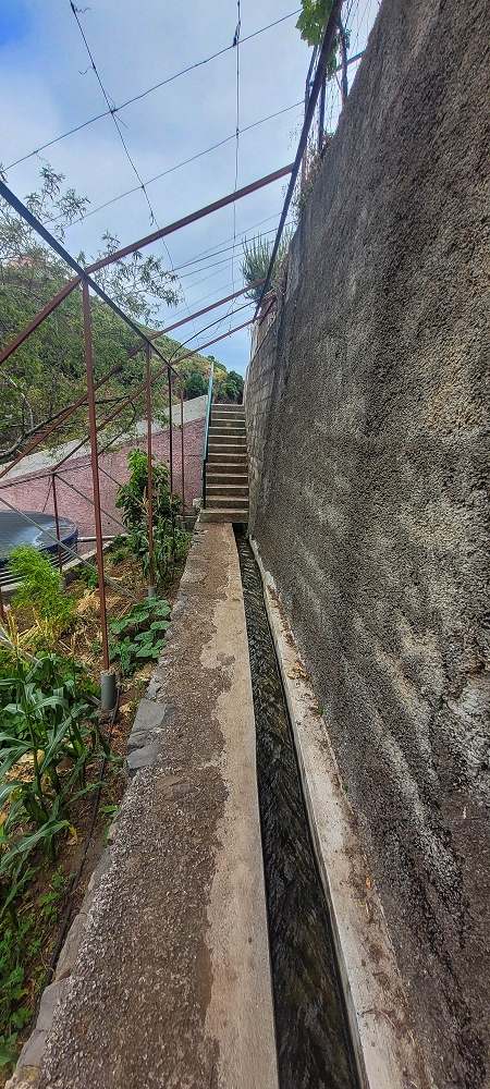 01.07.2022 Levadaentdeckungen oberhalb von Camara de Lobos — Zurück zur Kreuzung mit der Vereda da Ribeira da Caixa — Foto 5