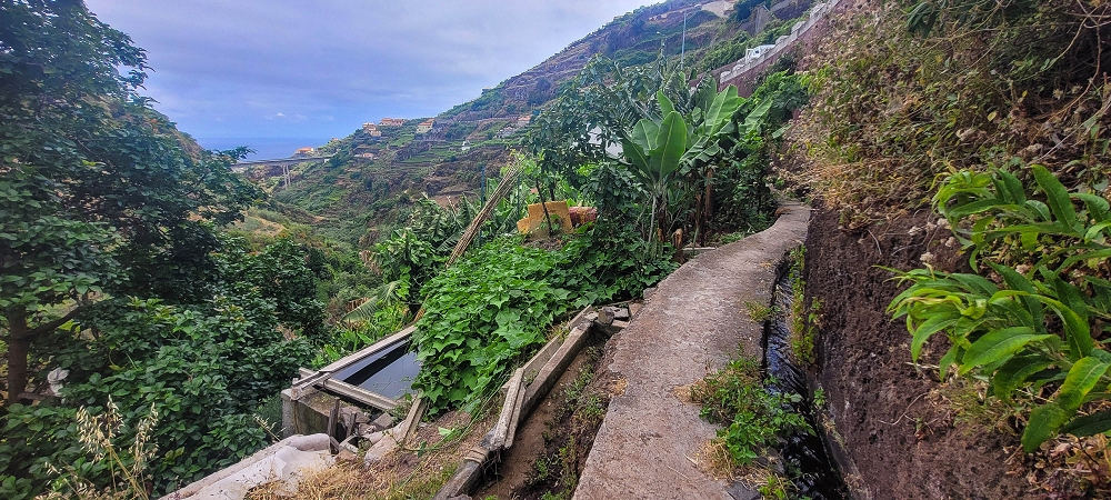 01.07.2022 Levadaentdeckungen oberhalb von Camara de Lobos — Nach der Kreuzung unterhalb des Caminho da Ribeira da Caixa — Foto 1
