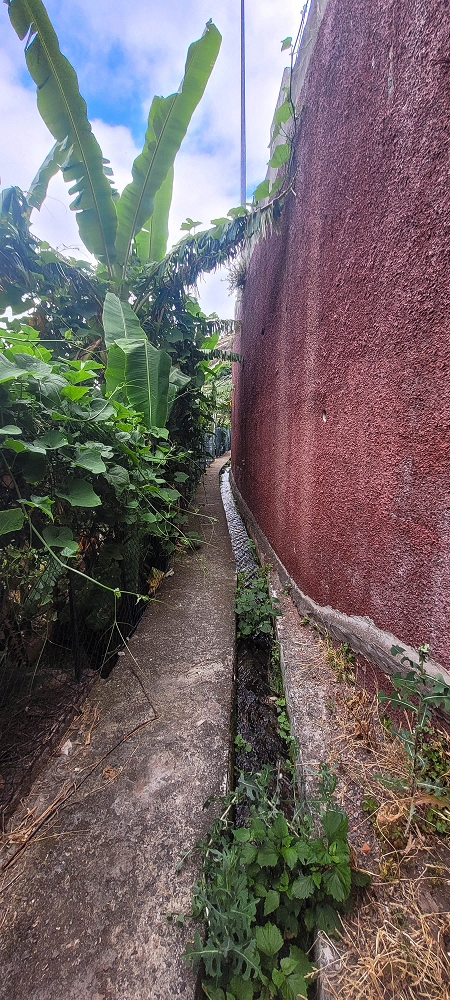 01.07.2022 Levadaentdeckungen oberhalb von Camara de Lobos — Nach der Kreuzung unterhalb des Caminho da Ribeira da Caixa — Foto 2