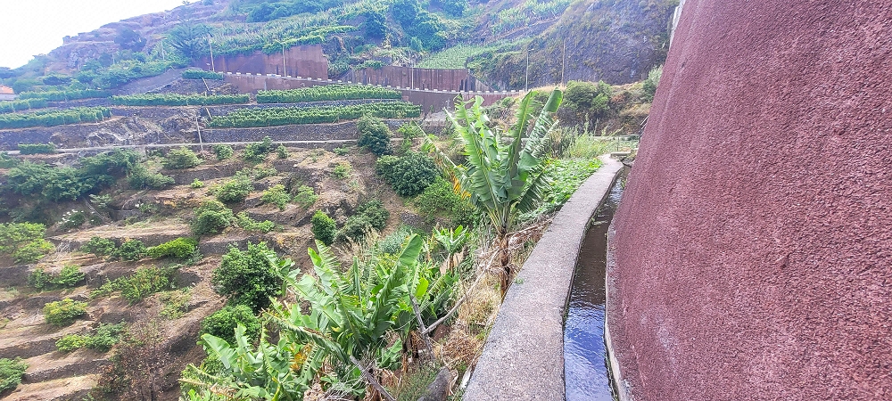 01.07.2022 Levadaentdeckungen oberhalb von Camara de Lobos — Nach der Kreuzung unterhalb des Caminho da Ribeira da Caixa — Foto 3