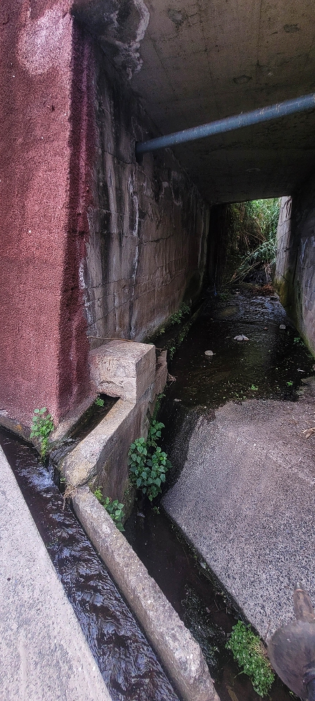 01.07.2022 Levadaentdeckungen oberhalb von Camara de Lobos — Nach der Kreuzung unterhalb des Caminho da Ribeira da Caixa — Foto 5