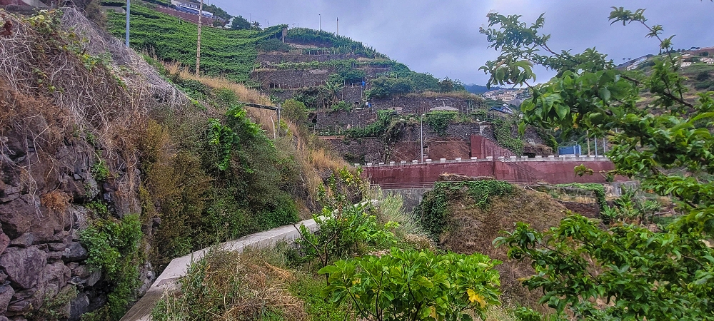 01.07.2022 Levadaentdeckungen oberhalb von Camara de Lobos — Nach der Kreuzung unterhalb des Caminho da Ribeira da Caixa — Foto 6