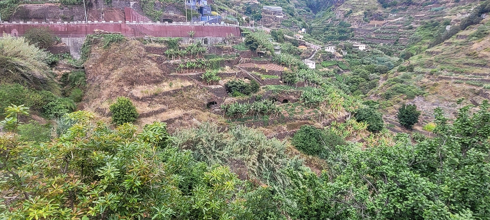 01.07.2022 Levadaentdeckungen oberhalb von Camara de Lobos — Nach der Kreuzung unterhalb des Caminho da Ribeira da Caixa — Foto 8