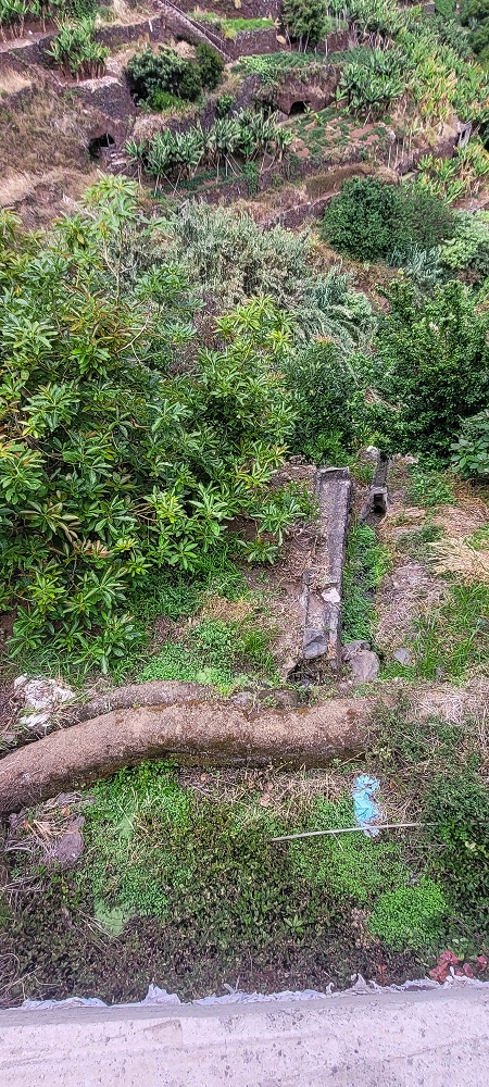 01.07.2022 Levadaentdeckungen oberhalb von Camara de Lobos — Nach der Kreuzung unterhalb des Caminho da Ribeira da Caixa — Foto 9
