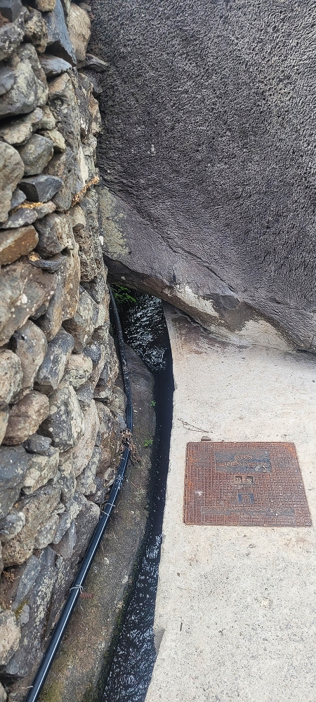 01.07.2022 Levadaentdeckungen oberhalb von Camara de Lobos — Nach der Kreuzung unterhalb des Caminho da Ribeira da Caixa — Foto 10