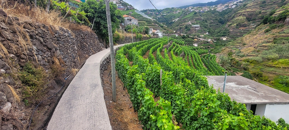 01.07.2022 Levadaentdeckungen oberhalb von Camara de Lobos — Nach der Kreuzung unterhalb des Caminho da Ribeira da Caixa — Foto 15