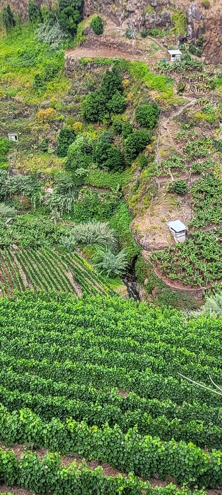 01.07.2022 Levadaentdeckungen oberhalb von Camara de Lobos — Nach der Kreuzung unterhalb des Caminho da Ribeira da Caixa — Foto 22