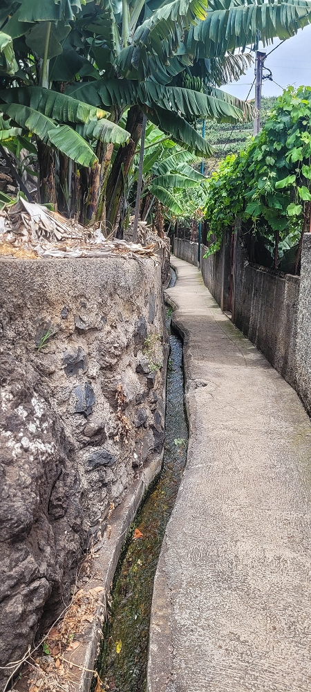 01.07.2022 Levadaentdeckungen oberhalb von Camara de Lobos — Entlang der Levada da Castanheira bis zum Wasserfall — Foto 7